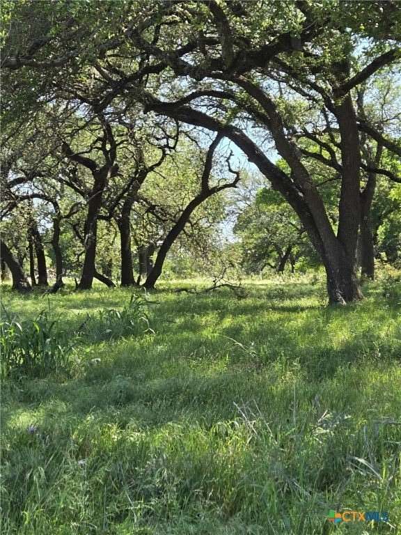 5.5 Acres of Residential Land for Sale in Oglesby, Texas