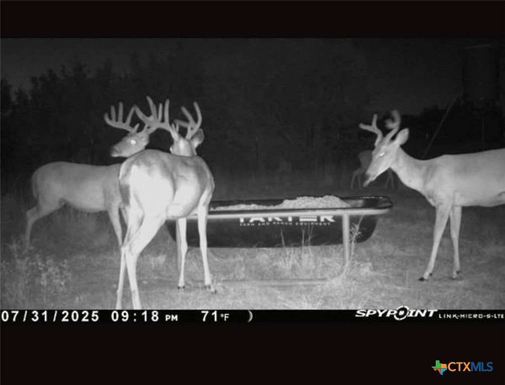 20 Acres of Land for Sale in Lampasas, Texas