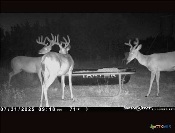 20 Acres of Land for Sale in Lampasas, Texas