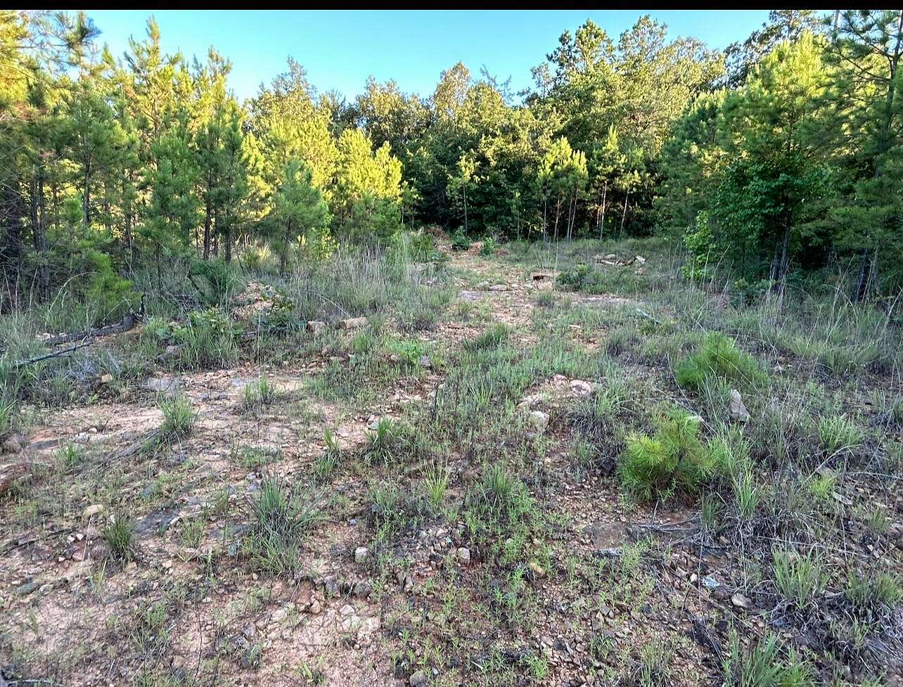 15 Acres of Recreational Land for Sale in New Blaine, Arkansas