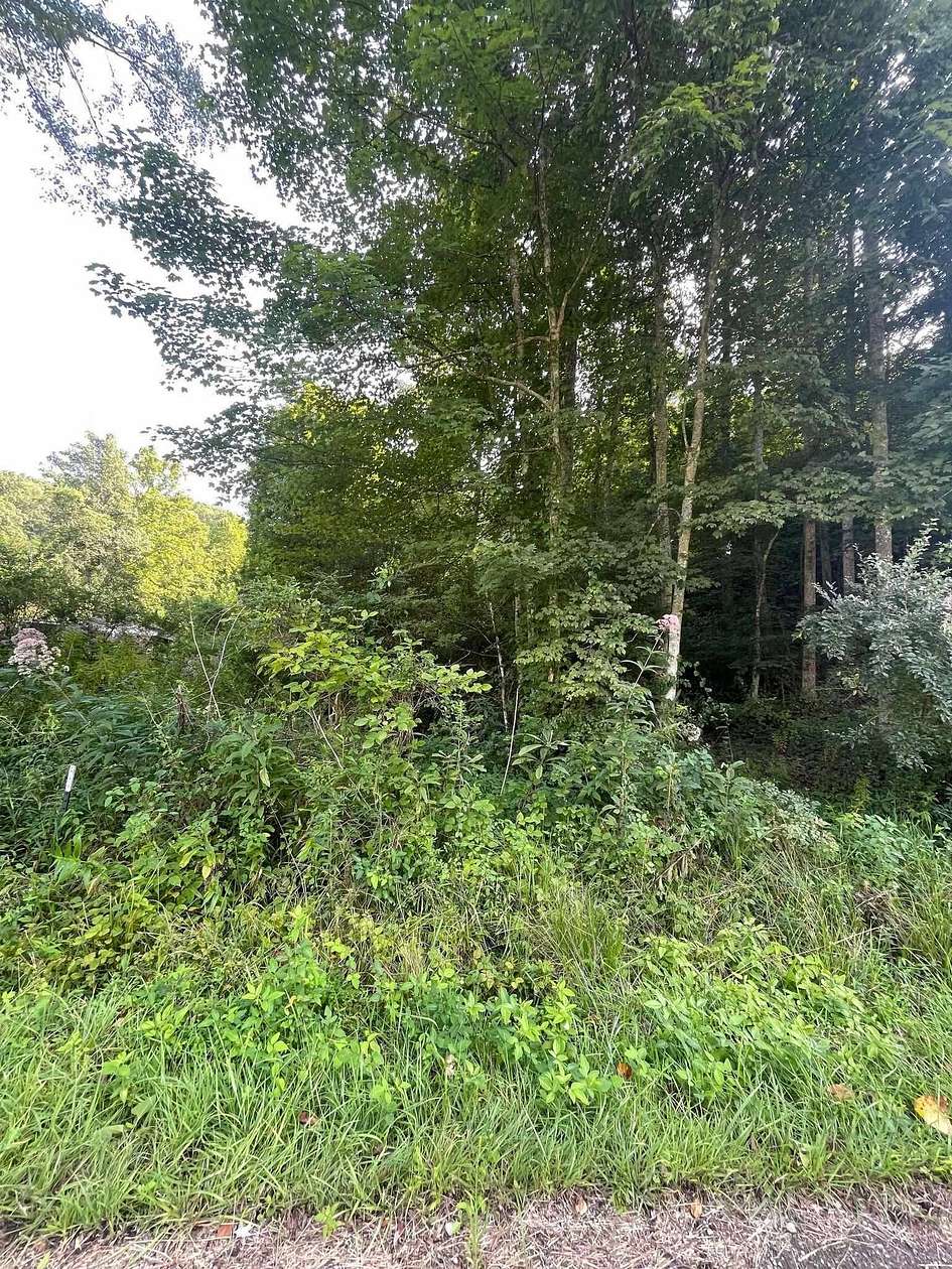 7.57 Acres of Residential Land for Sale in Crum, West Virginia