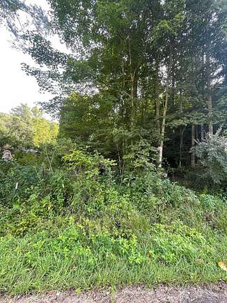 7.57 Acres of Residential Land for Sale in Crum, West Virginia