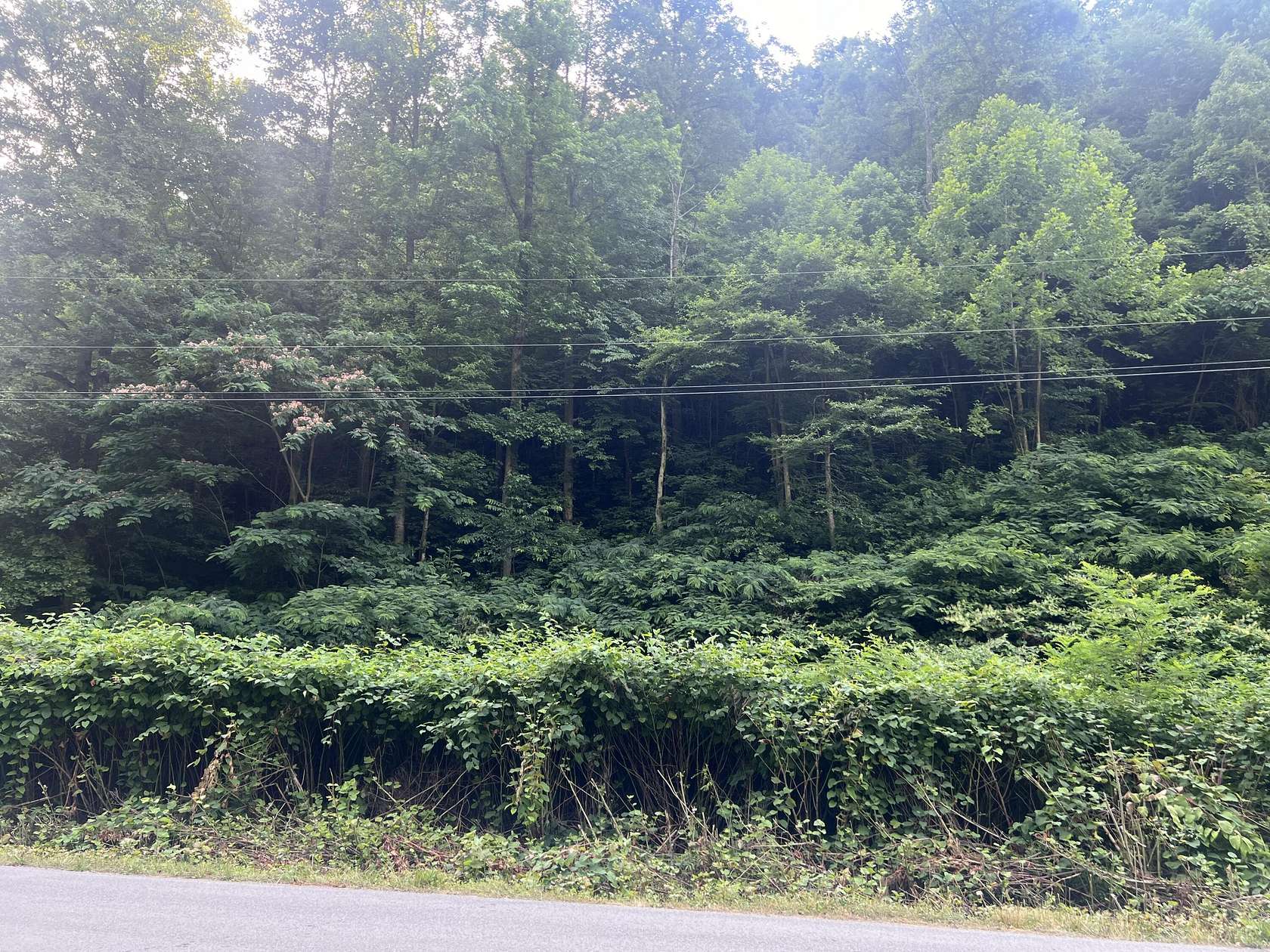 2.36 Acres of Land for Sale in Huddy, Kentucky