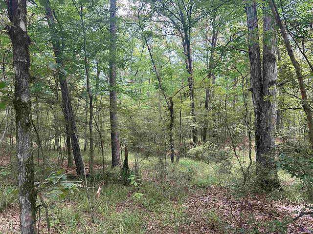 9.75 Acres of Land for Sale in Trout, Louisiana