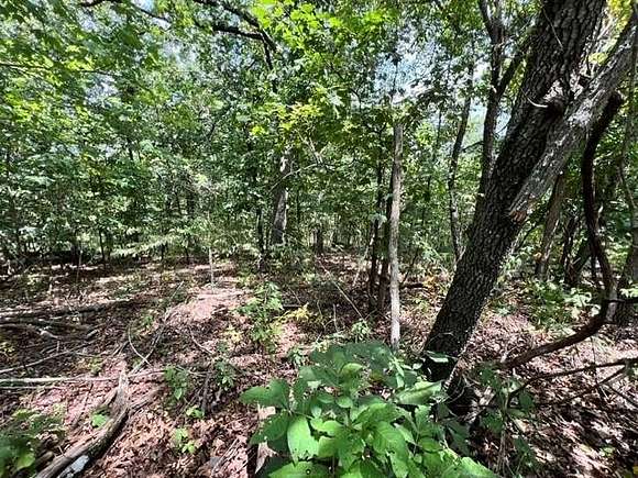 0.27 Acres of Residential Land for Sale in Bella Vista, Arkansas