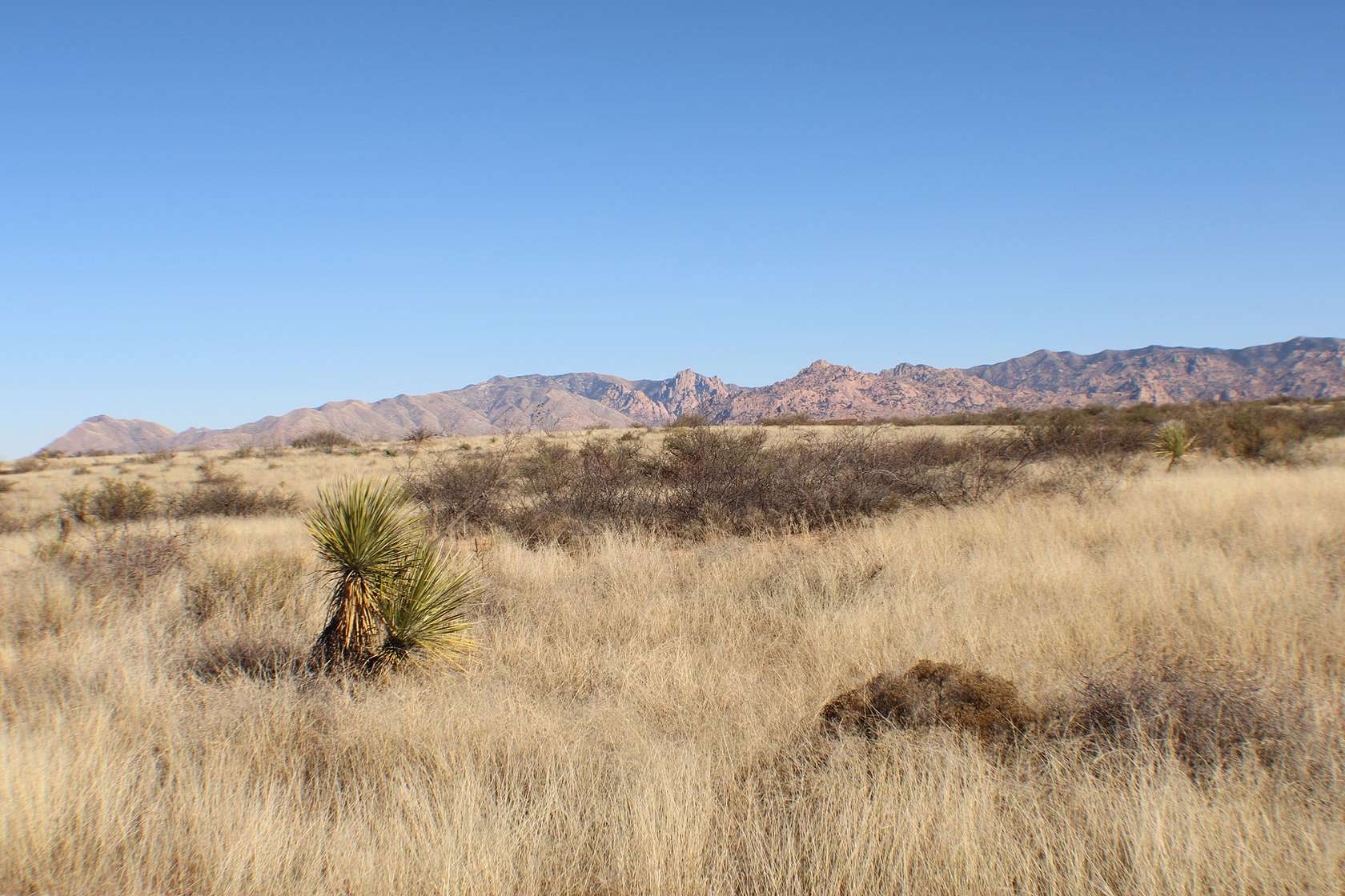 36.5 Acres of Land for Sale in St. David, Arizona