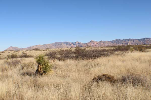 36.5 Acres of Land for Sale in St. David, Arizona