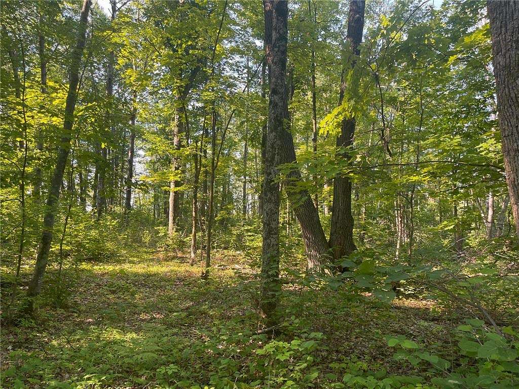 13.3 Acres of Land for Sale in Kerrick, Minnesota