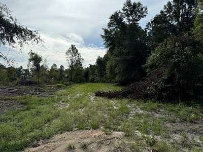 40 Acres of Recreational Land & Farm for Sale in White Springs, Florida