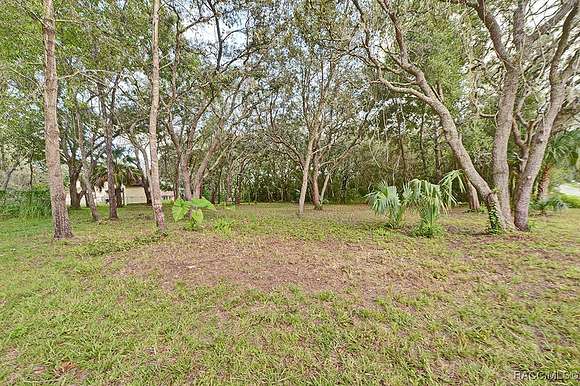 0.22 Acres of Residential Land for Sale in Inverness, Florida