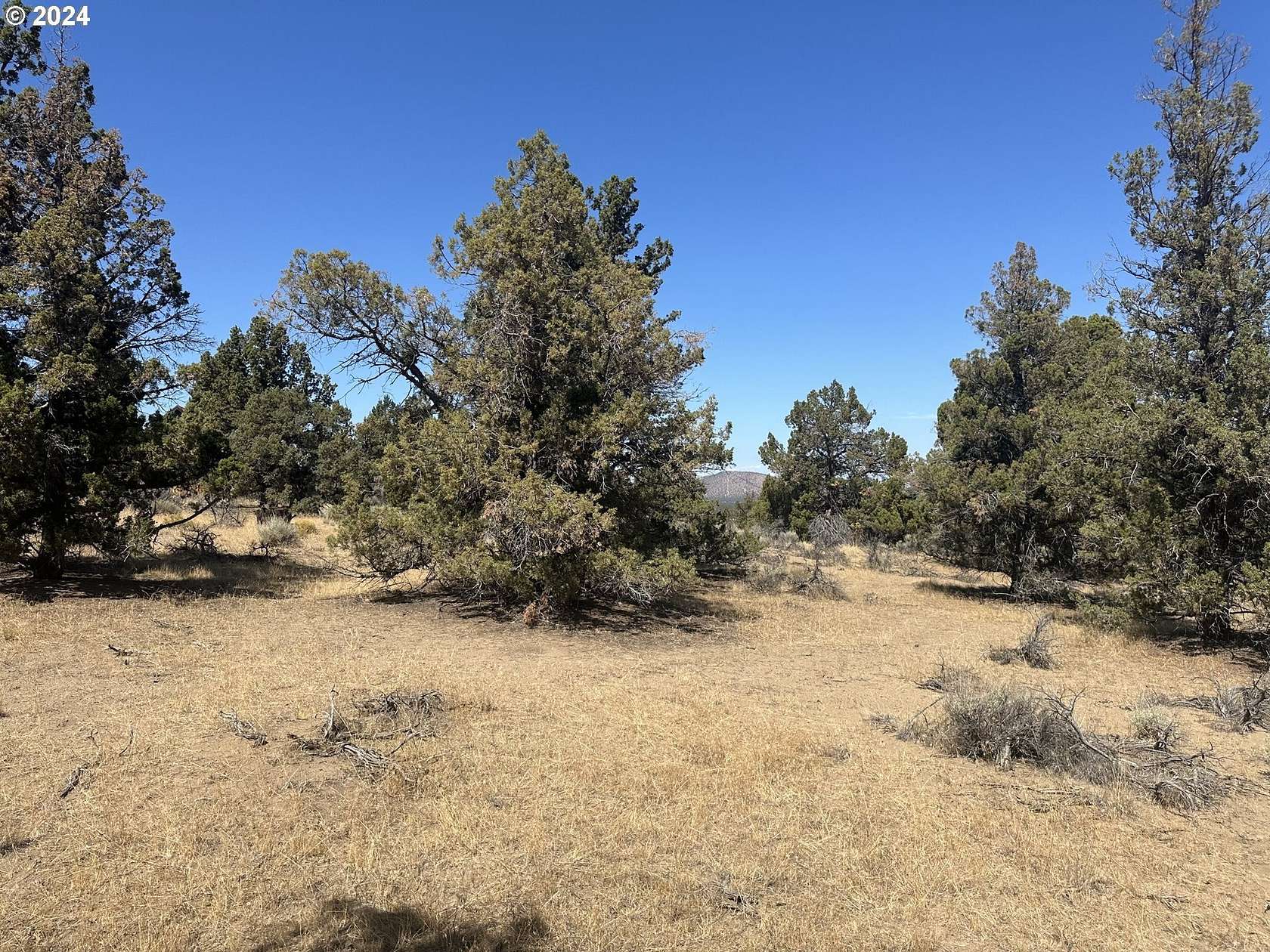 6.95 Acres of Land for Sale in Bend, Oregon