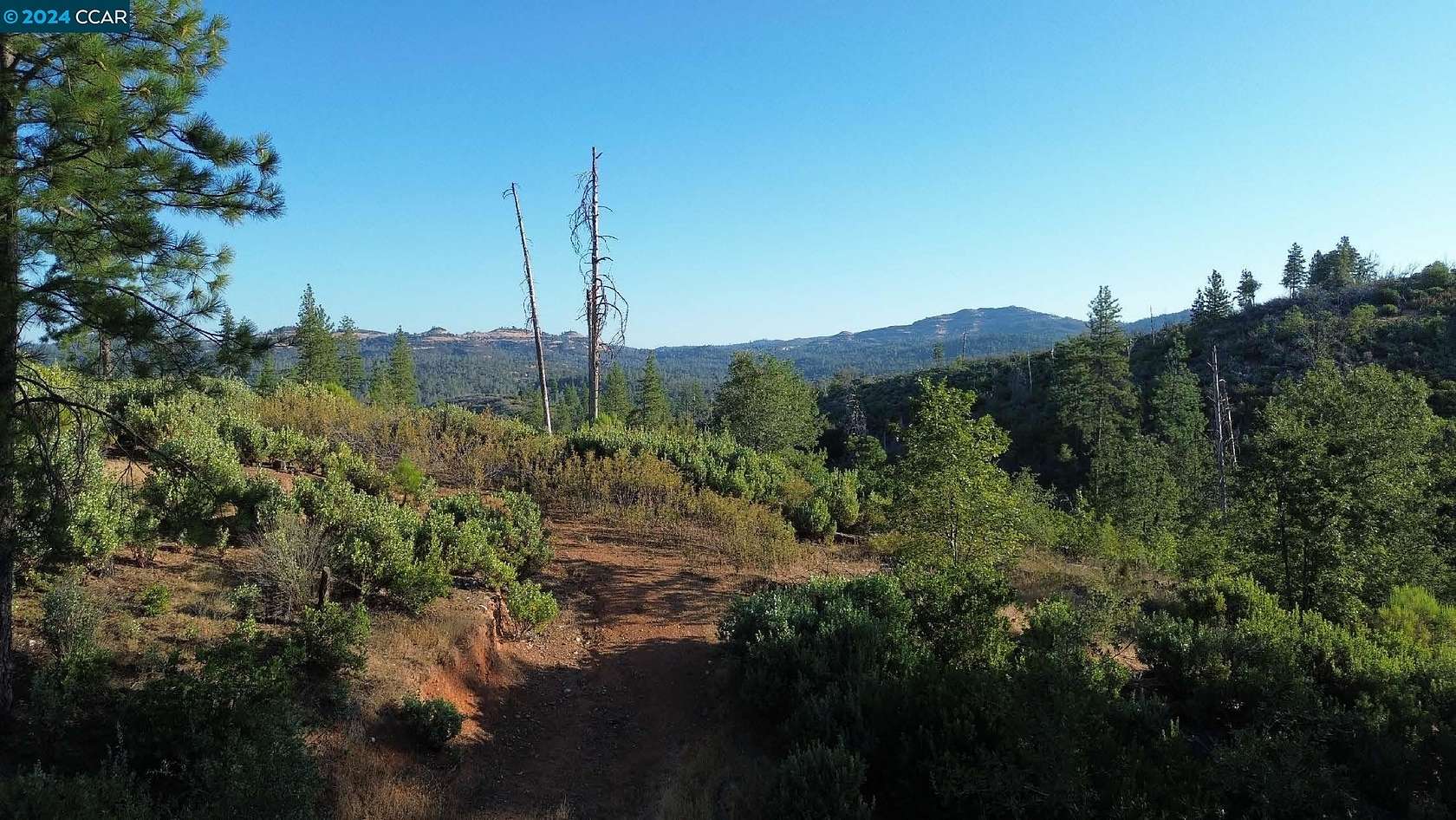 Land for Sale in Sheep Ranch, California