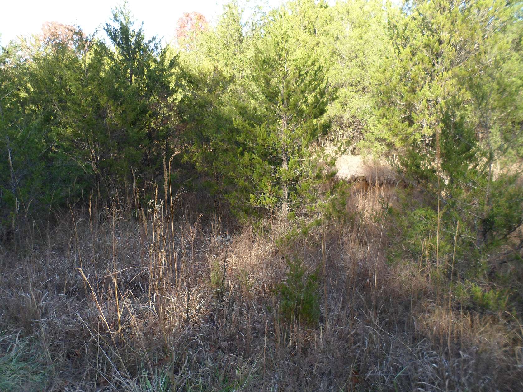 0.38 Acres of Residential Land for Sale in Horseshoe Bend, Arkansas