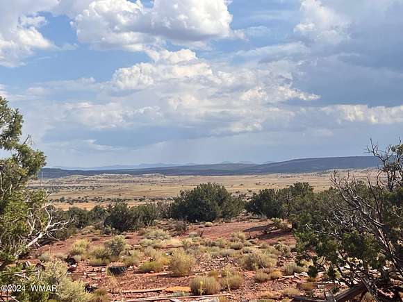 47.75 Acres of Land for Sale in Concho, Arizona