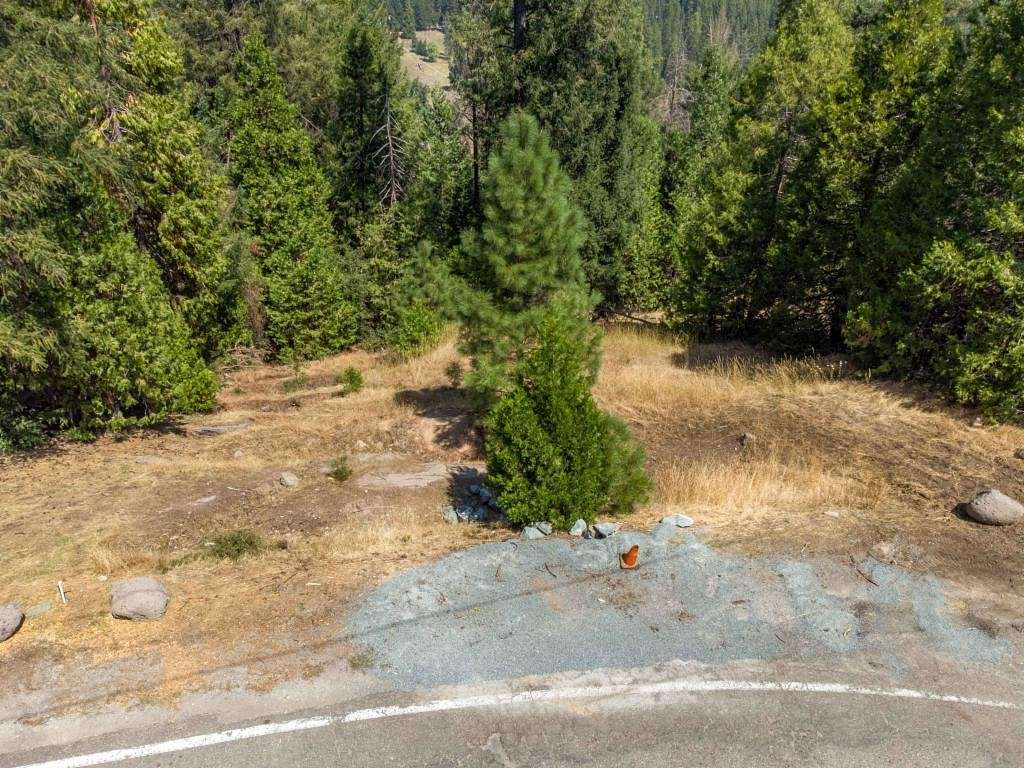 0.507 Acres of Land for Sale in Pioneer, California