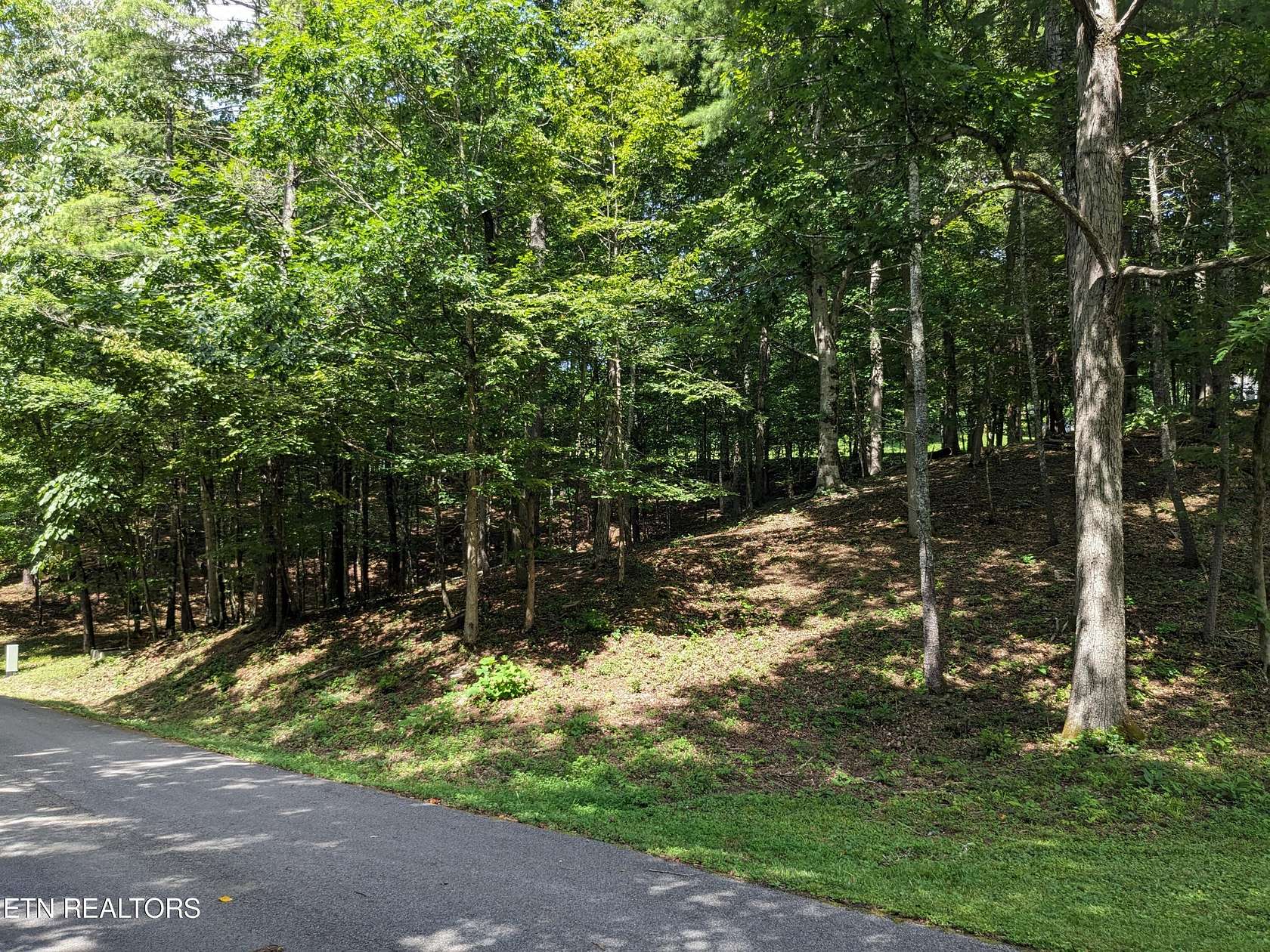 0.22 Acres of Residential Land for Sale in Townsend, Tennessee