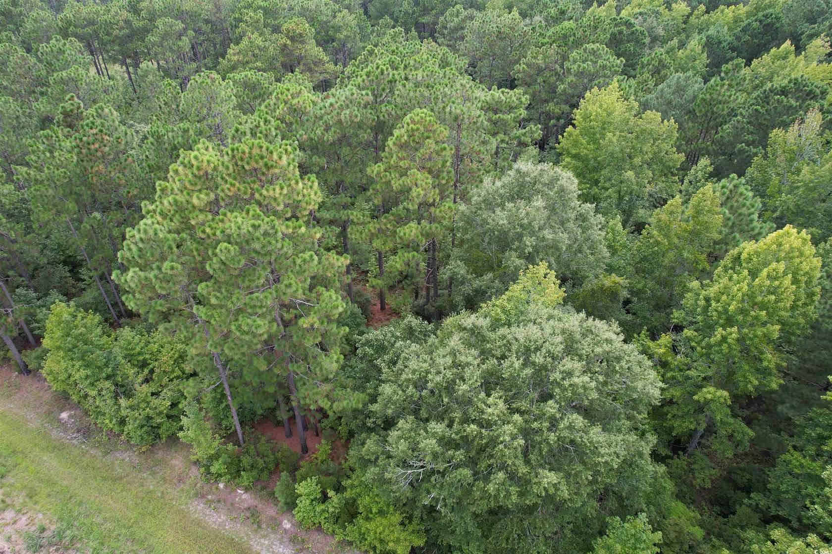 7.1 Acres of Land for Sale in Salters, South Carolina