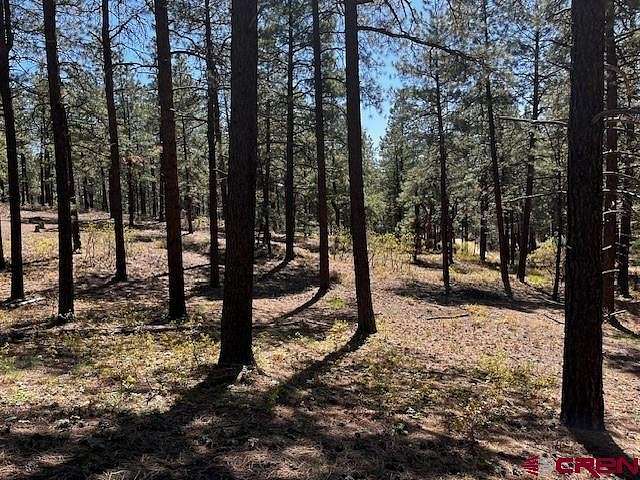 3.1 Acres of Residential Land for Sale in Bayfield, Colorado