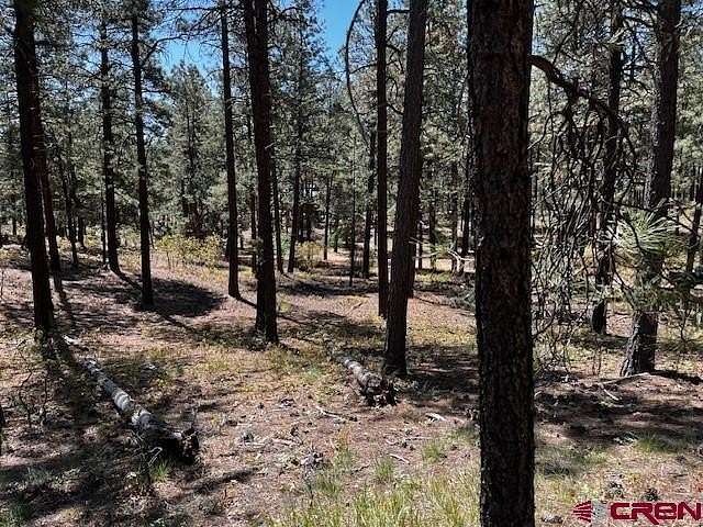 3.1 Acres of Residential Land for Sale in Bayfield, Colorado