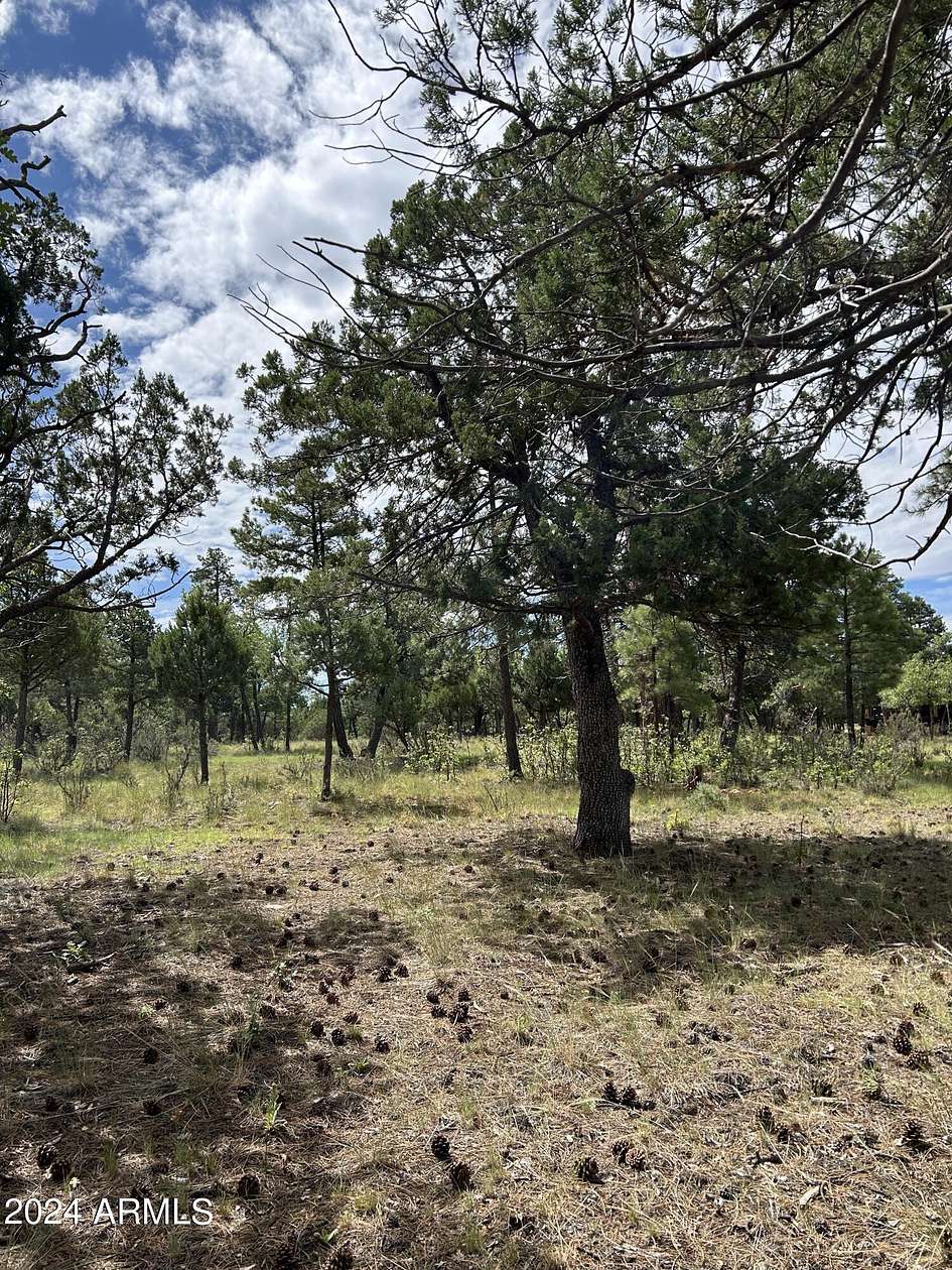 0.92 Acres of Residential Land for Sale in Happy Jack, Arizona