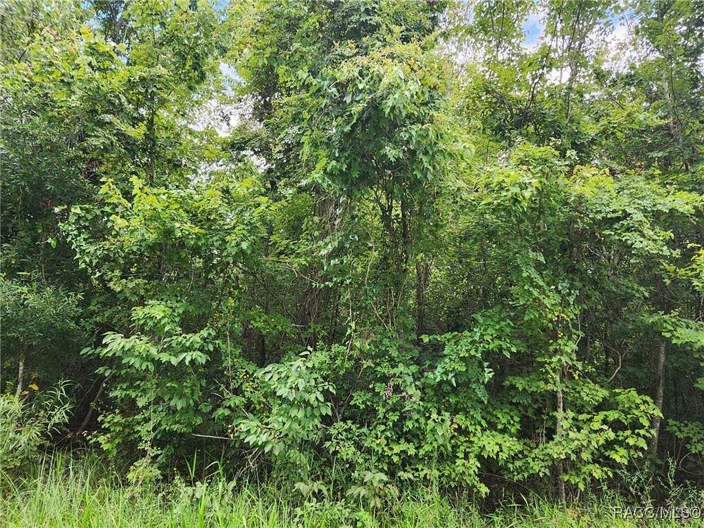 0.23 Acres of Residential Land for Sale in Inverness, Florida