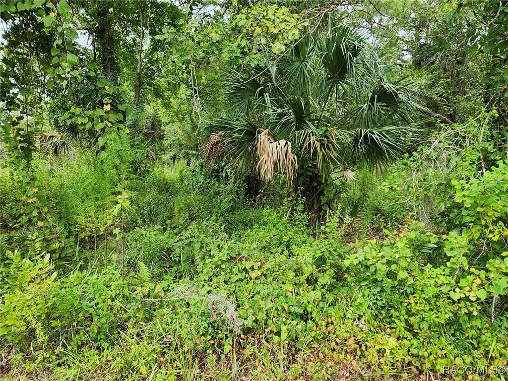 0.23 Acres of Residential Land for Sale in Inverness, Florida