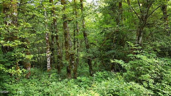 0.35 Acres of Residential Land for Sale in Seaside, Oregon