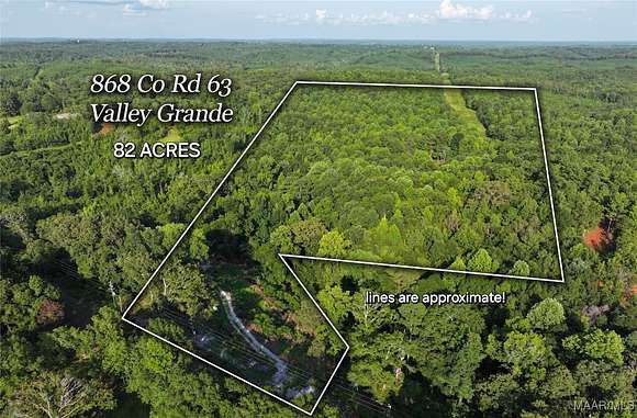 82.2 Acres of Recreational Land & Farm for Sale in Valley Grande, Alabama