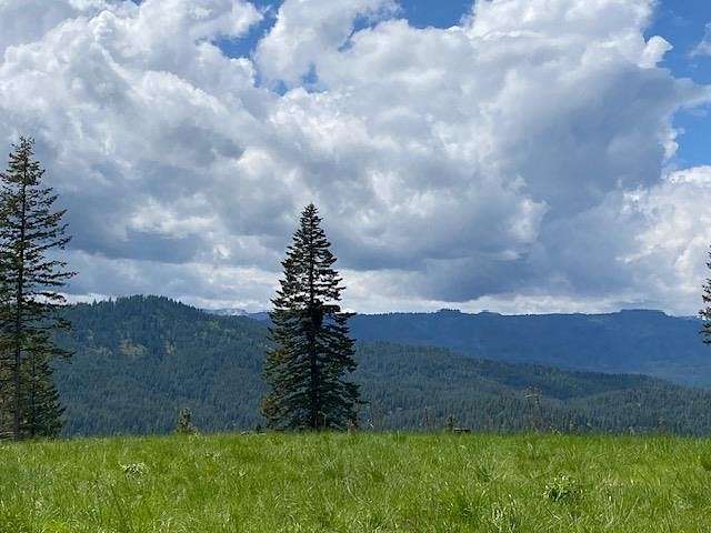 77.34 Acres of Recreational Land for Sale in New Meadows, Idaho