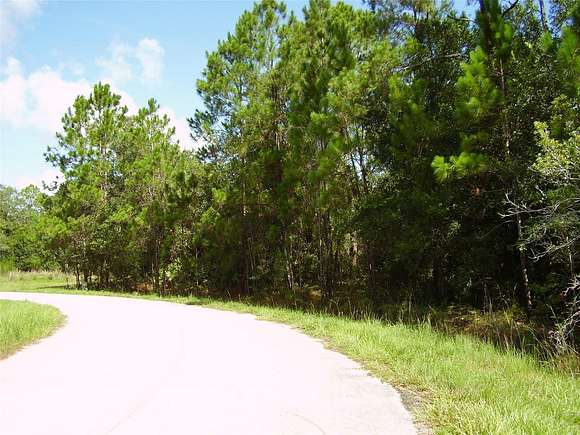 0.44 Acres of Residential Land for Sale in Poinciana, Florida