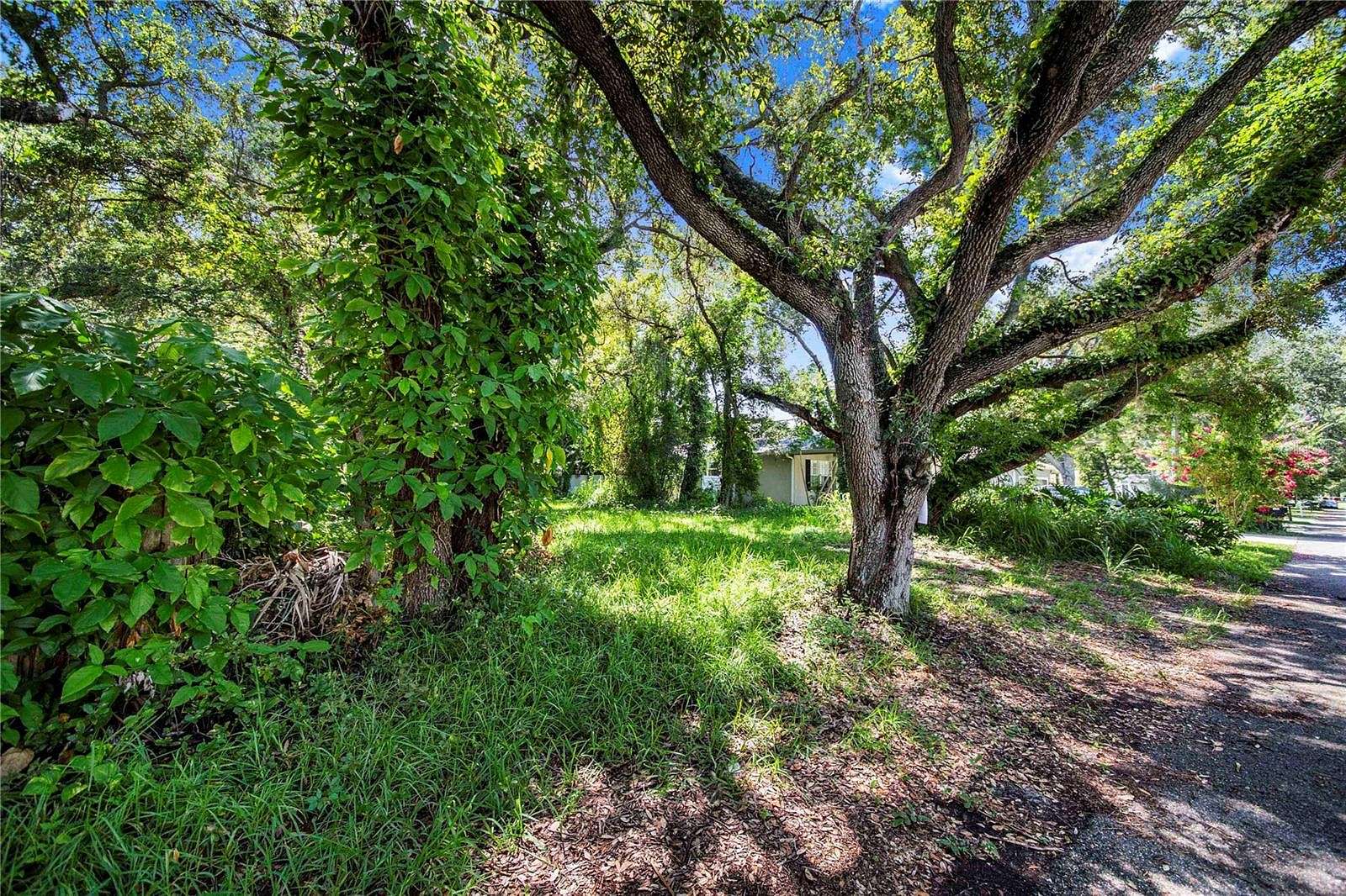 0.15 Acres of Residential Land for Sale in Tampa, Florida