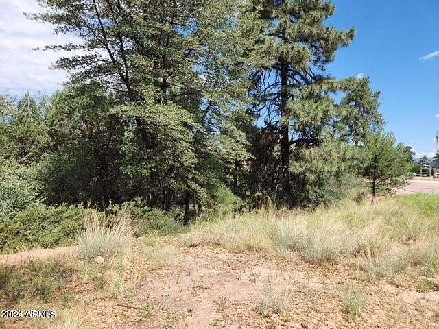 0.15 Acres of Commercial Land for Sale in Payson, Arizona