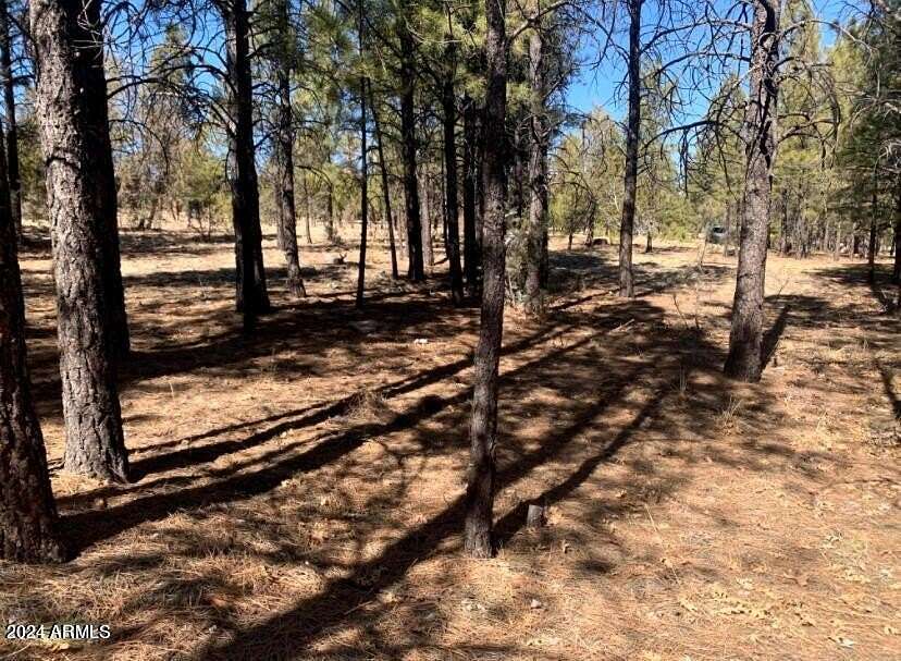 0.75 Acres of Land for Sale in Happy Jack, Arizona