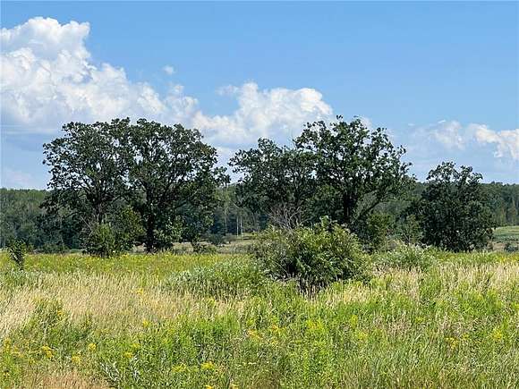 20 Acres of Recreational Land & Farm for Sale in Hillman Township, Minnesota