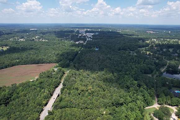 46 Acres of Recreational Land for Sale in Manning, South Carolina