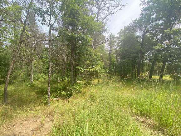 3 Acres of Land for Sale in Mio, Michigan