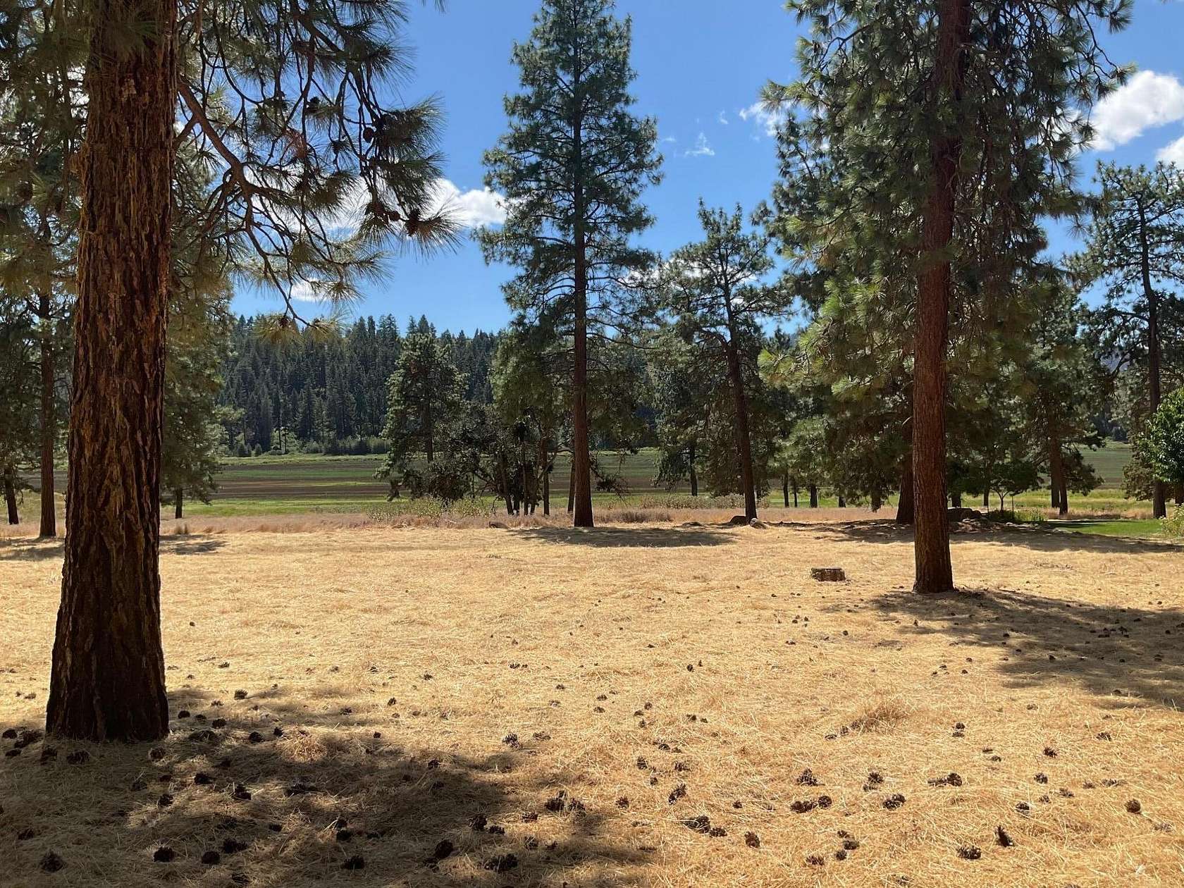 0.5 Acres of Residential Land for Sale in Klamath Falls, Oregon