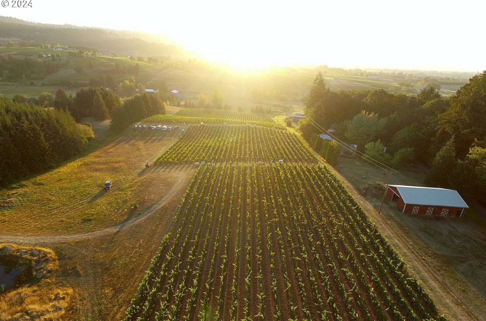 20.76 Acres of Agricultural Land for Sale in Newberg, Oregon