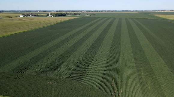 260.1 Acres of Agricultural Land with Home for Sale in Hayfield, Minnesota