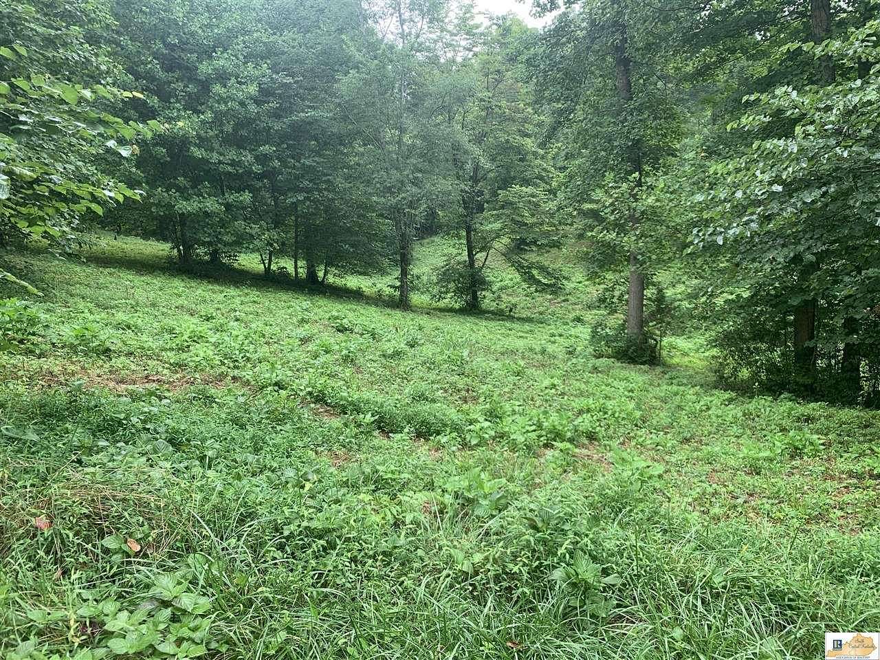 0.53 Acres of Residential Land for Sale in Burkesville, Kentucky