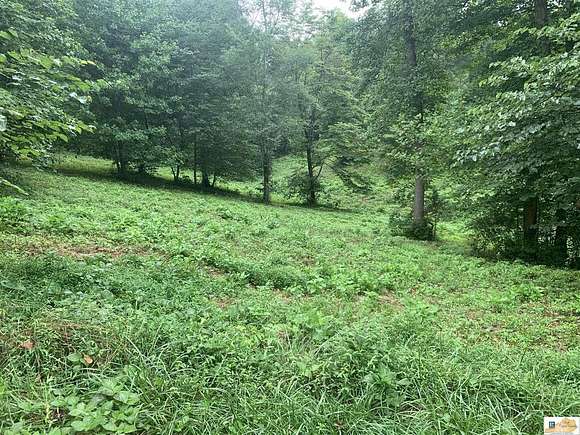 0.53 Acres of Residential Land for Sale in Burkesville, Kentucky