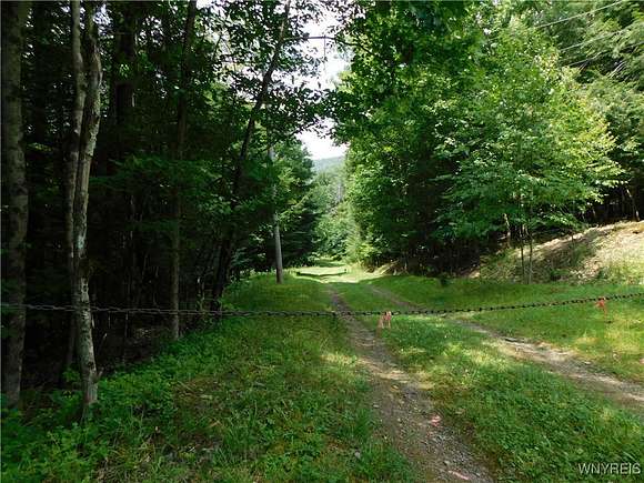 66.7 Acres of Recreational Land for Sale in Genesee Town, New York