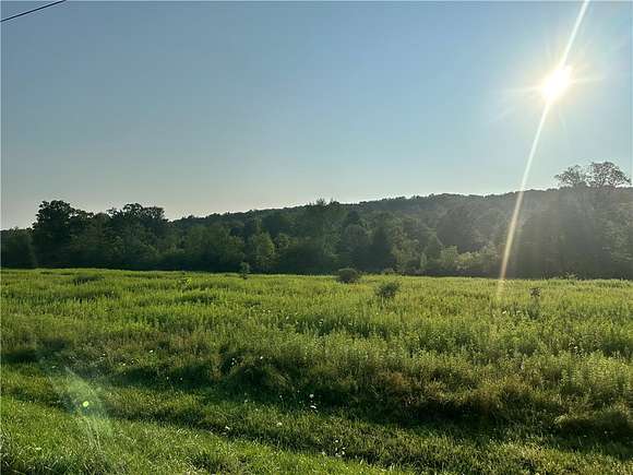 10.1 Acres of Land for Sale in Grove, New York