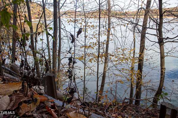 1.1 Acres of Residential Land for Sale in Gray, Tennessee