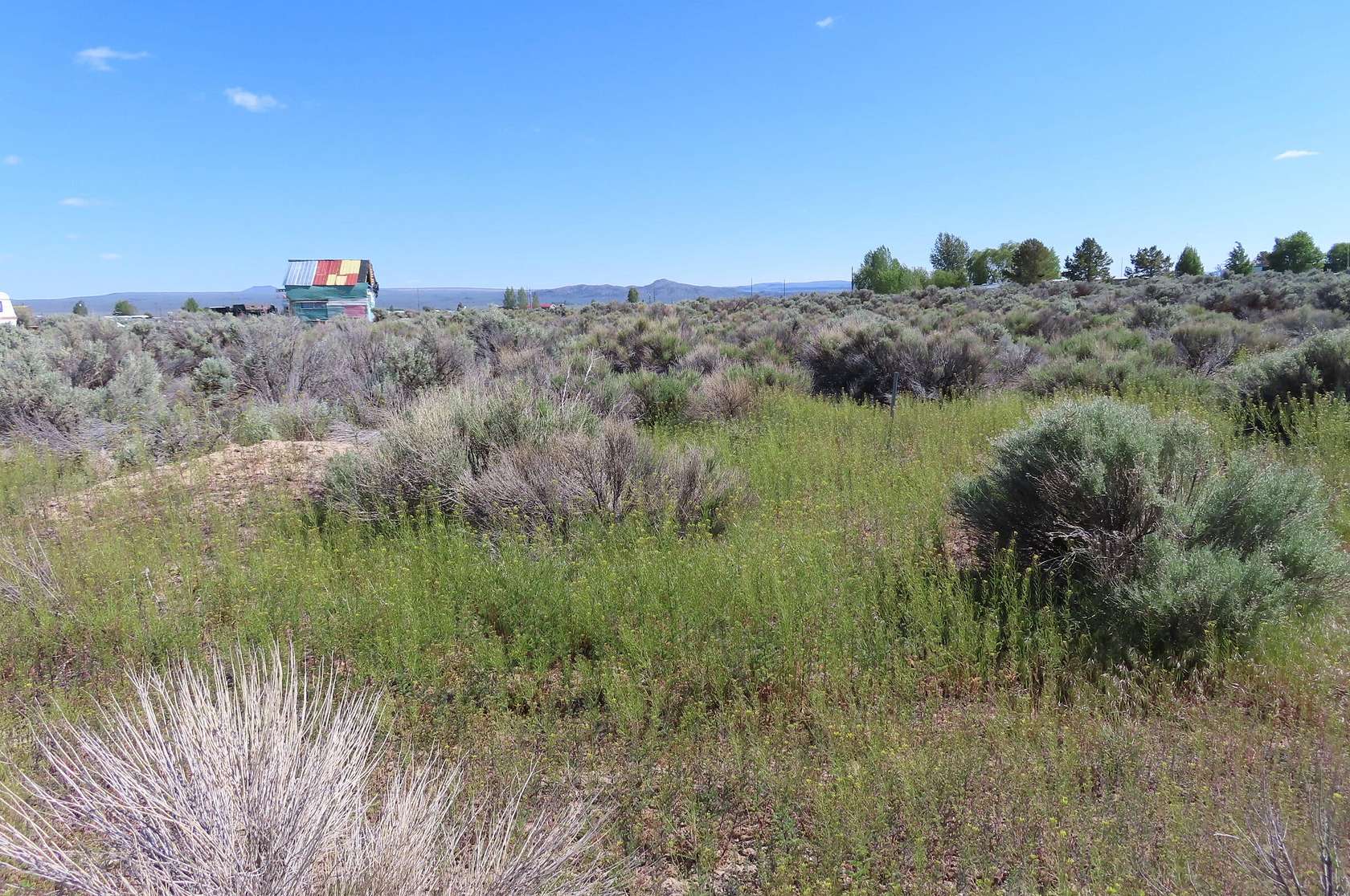 0.33 Acres of Residential Land for Sale in Christmas Valley, Oregon