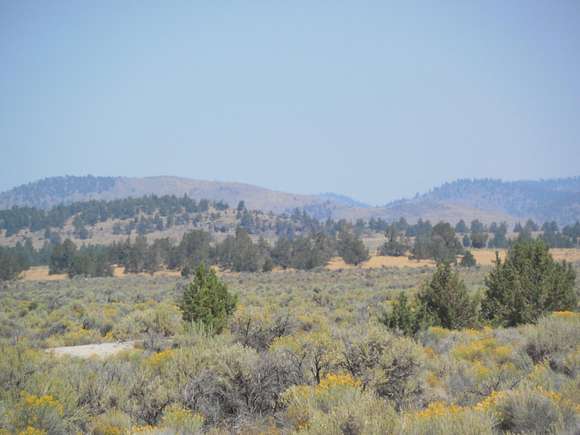 80 Acres of Recreational Land & Farm for Sale in Christmas Valley, Oregon