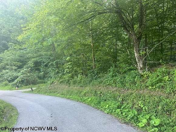 3.93 Acres of Residential Land for Sale in Kerens, West Virginia