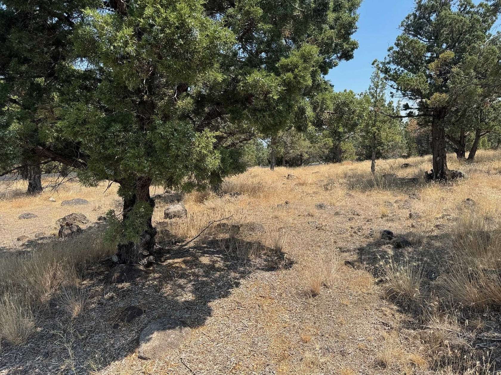 0.44 Acres of Residential Land for Sale in Weed, California