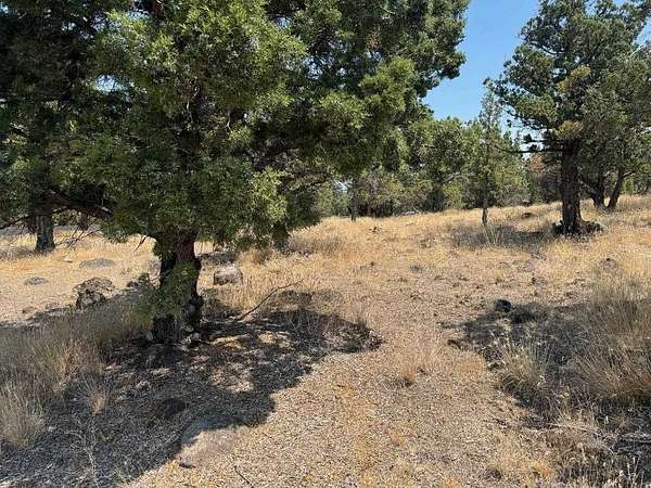 0.44 Acres of Land for Sale in Weed, California