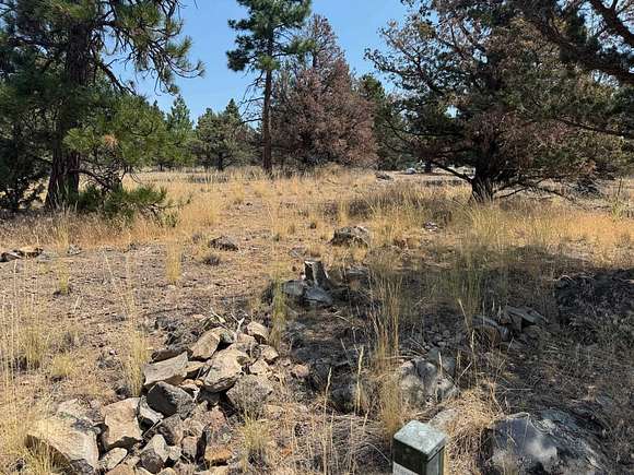 0.3 Acres of Residential Land for Sale in Weed, California